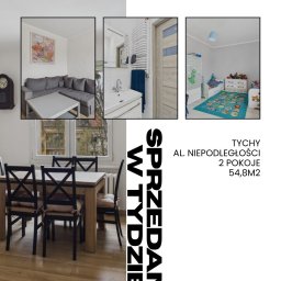 Julia Duda - Oferta sprzedaży: 2-pokojowe mieszkanie w Tychach (54,8m2). Widok na salon z szarą sofą, łazienkę z umywalką i pokój dziecięcy z niebieskim dywanem.