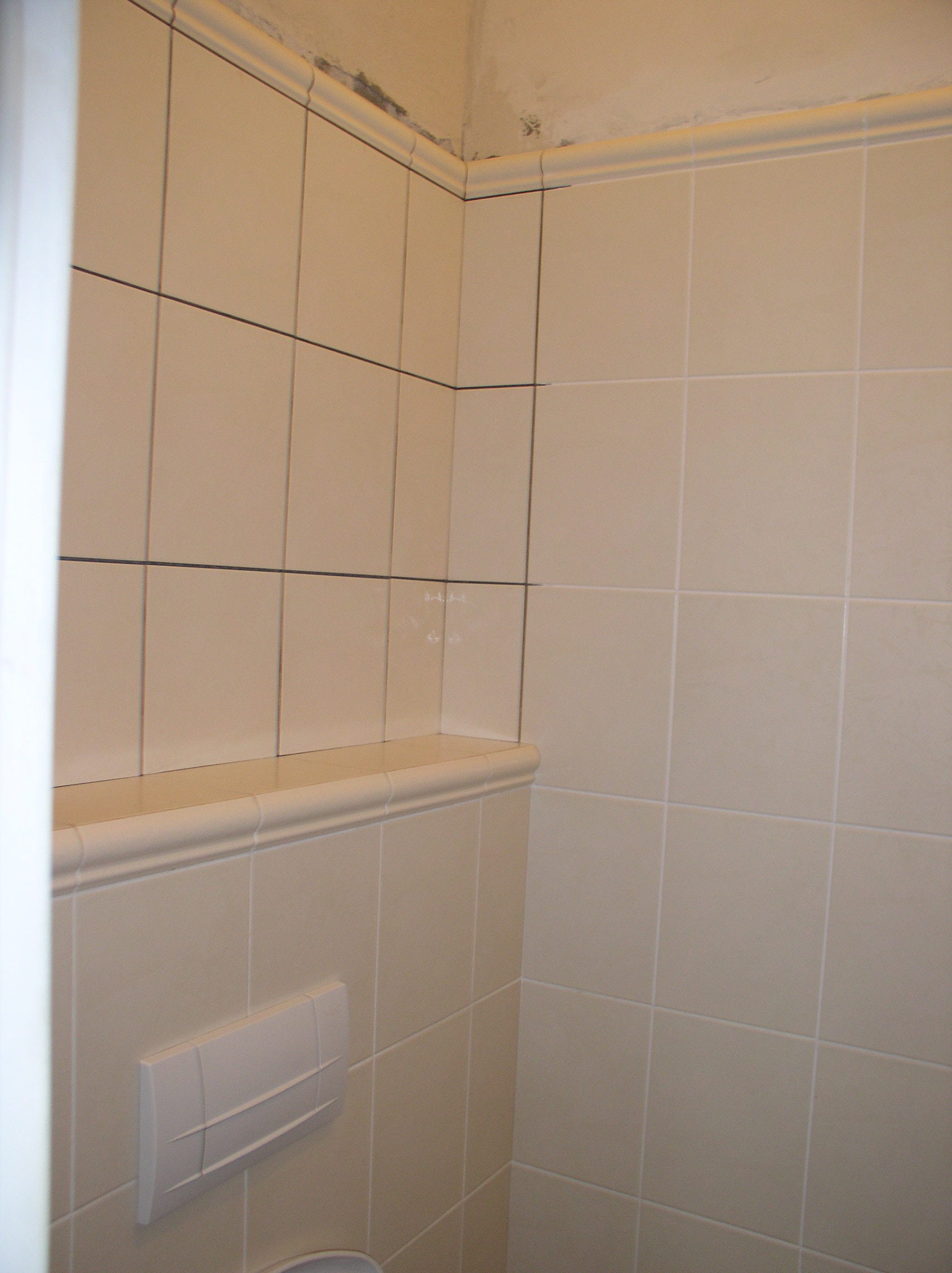 Beżowe, kwadratowe płytki ceramiczne ułożone na ścianie w łazience, z widocznym przyciskiem spłuczki WC i półką z ozdobnym wykończeniem. W górnym rogu widoczne ślady po remoncie.