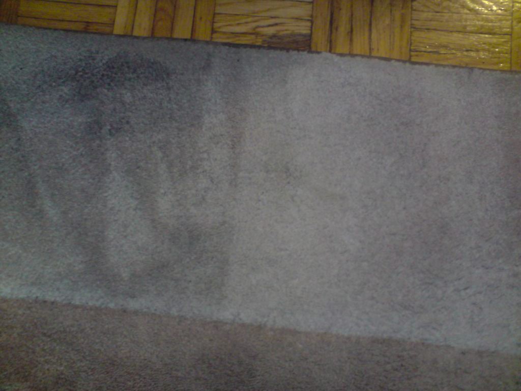 Fragment dywanu z widoczną różnicą w odcieniu po czyszczeniu, gdzie lewa strona jest wyraźnie ciemniejsza od prawej, na górze widoczna drewniana podłoga.