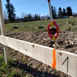 Geodezja Rychlik - tyczenie osi budynku