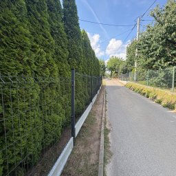 DROTECHTEAM - Nowoczesne ogrodzenie panelowe w kolorze antracytowym z betonową podmurówką, otoczone gęstym żywopłotem z tui, biegnące wzdłuż asfaltowej drogi w słoneczny dzień.