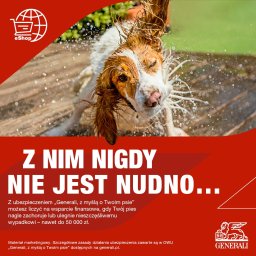 IB Projekt Izabela Nowak - 