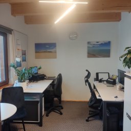 Biuro Rachunkowe Calma - Jasne biuro z dwoma stanowiskami pracy, nowoczesnym oświetleniem i dekoracjami ściennymi. Na podłodze leży mały pies rasy pinczer miniaturowy.