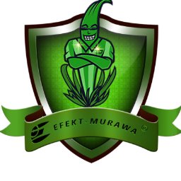 EFEKT MURAWA - Trawa w Rolce Wrocław
