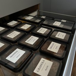 Posprzątane Kąty by Patrycja Kamrowska - Otwarta szuflada kuchenna w Klonówce, z rzędami przezroczystych pojemników z czarnymi pokrywkami i białymi etykietami, opisującymi produkty sypkie jak ryż, kasza, płatki owsiane i granola...