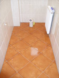 Wnętrze małej łazienki z brązową, wzorzystą podłogą z płytek ułożonych w karo. Widoczna muszla klozetowa, biały grzejnik drabinkowy i jasne płytki na ścianach. Na podłodze widoczna plama.