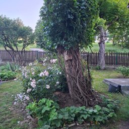 Leszczynowa Dolina - 