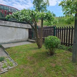 Leszczynowa Dolina - 