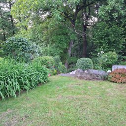 Leszczynowa Dolina - 