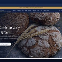 Sieciownia - 