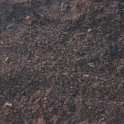 Lignina/Celluloza drzewna