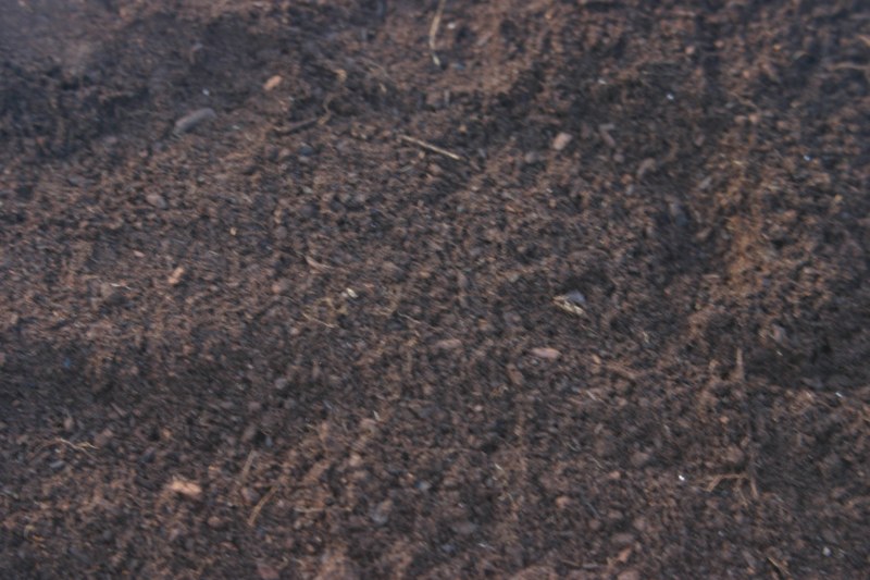 Lignina/Celluloza drzewna