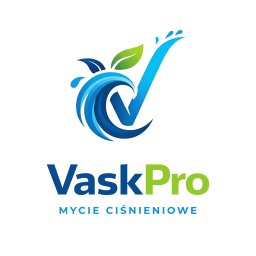 VaskPro - Firma Elewacyjna Kalisz