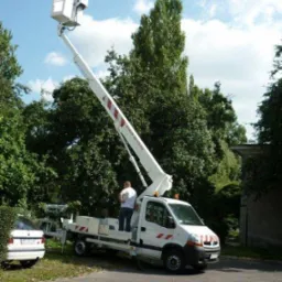 Biały podnośnik koszowy na pojeździe Renault Master z wysięgnikiem wzniesionym w kierunku wysokich drzew, pracownik w białej koszulce stoi na platformie pojazdu, obok zaparkowany biały samochód...