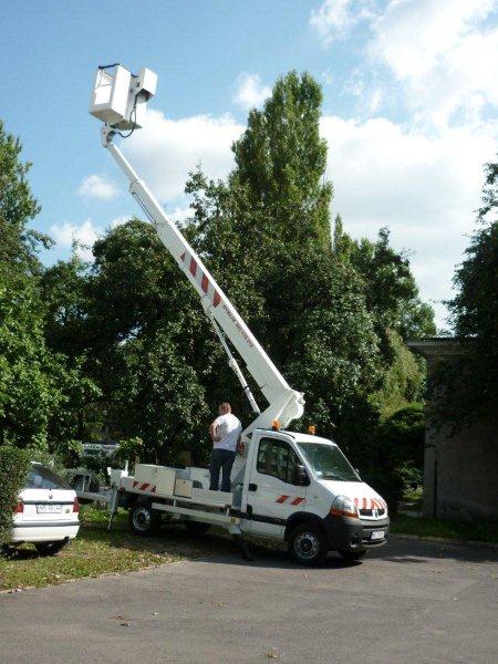Biały podnośnik koszowy na pojeździe Renault Master z wysięgnikiem wzniesionym w kierunku wysokich drzew, pracownik w białej koszulce stoi na platformie pojazdu, obok zaparkowany biały samochód...