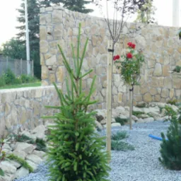 Kamienne ogrodzenie z jasnego piaskowca, fragment ogrodu z młodymi drzewkami, krzewami iglastymi i wysypanym grysem, widoczne elementy konstrukcyjne ogrodzenia.