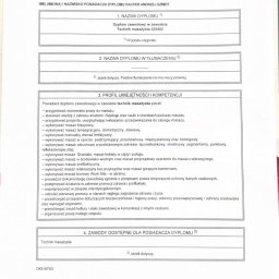 Kacper Szmidt - 