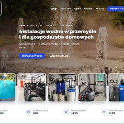 Nelcore Digital Studio - Zrzut ekranu strony głównej firmy M.R.SERVICE z nagłówkiem o instalacjach wodnych na tle fontanny, poniżej galeria zdjęć basenu i systemów uzdatniania wody.