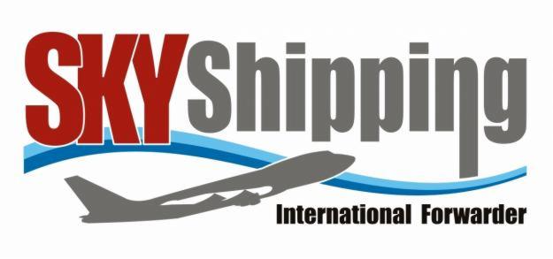 Logo firmy SkyShipping z szarym samolotem i niebieskimi falami, pod napisem 'International Forwarder'. Dominuje biel i czerwień w nazwie.