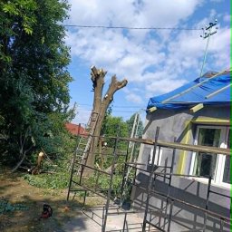 Marcin Wirtel - Po pracy :) wycinka wysokiej lipy wsrod instalacji elektrycznych i budynków.