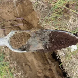 Otwór w ziemi z próbką gleby na szpadlu, widoczne warstwy gruntu o różnej barwie i strukturze, obok fragment buta i trawa.