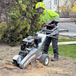 ArborAlp - Pracownik w żółtej odblaskowej kurtce i kasku z osłoną twarzy obsługuje szarą frezarkę do pni Jansen, usuwając pień drzewa, wokół rozsypane są trociny.