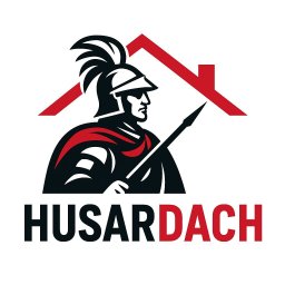 Mateusz Husar - Budowa Dachu Ludwik&oacute;w