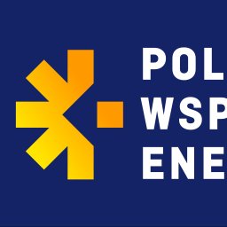 POLSKIE WSPARCIE ENERGETYCZNE SP&Oacute;ŁKA Z OGRANICZONĄ ODPOWIEDZIALNOŚCIĄ - Magazyny Energii Czaplinek