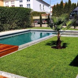 Green Design - Zadbany ogród z prostokątnym basenem o turkusowej wodzie, otoczony drewnianym tarasem i zielonym trawnikiem z małą palmą. Granitowe obrzeża basenu, w tle żywopłot i domy.
