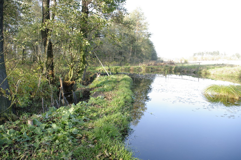 Działki rekreacyjne i pod budownictwo