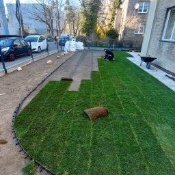 HASZCZE - Pracownik układa zieloną murawę z rolek na przygotowanym gruncie, tworząc trawnik z zakrzywionym obrzeżem. Widoczne częściowo rozwinięte rolki i miejskie otoczenie.