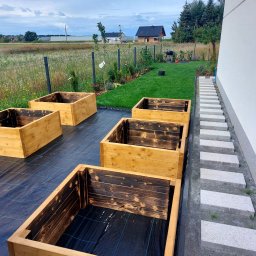 HASZCZE - Cztery drewniane skrzynie ogrodowe z palonym wnętrzem, ułożone na czarnej agrowłókninie obok trawnika i ścieżki z jasnych płyt, przy białej ścianie domu.