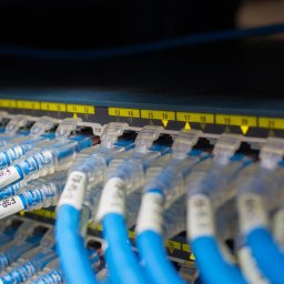 DG Networks - Close-up niebieskich kabli Ethernet podłączonych do numerowanego panelu przełącznika sieciowego, z widocznymi żółtymi diodami aktywności.