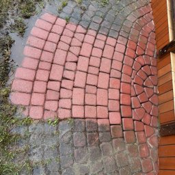 Czyszczenie specjalistyczne kostki brukowej - Czerwona kostka brukowa z wyraźną granicą między świeżo wyczyszczoną, mokrą częścią a zabrudzoną, ciemną powierzchnią, otoczona błotnistą trawą.
