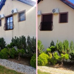 Rafał Dwornik - Porównanie elewacji domu przed i po czyszczeniu: brudna, beżowa ściana z zaciekami i oknami z balustradą, obok czysta, odświeżona fasada i lśniące okna.
