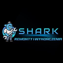 Remont łazienki Wodzisław Śląski
