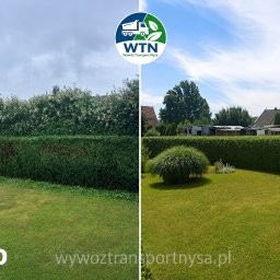 WTN WywózTransportNysa - Porównanie: zarośnięty żywopłot z białymi kwiatami i niekoszony trawnik (przed) oraz równo przycięty żywopłot i zadbany trawnik (po).