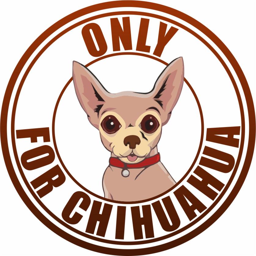 Strony WWW, sklepy internetowe, projekty graficzne dla Twojego biznesu!