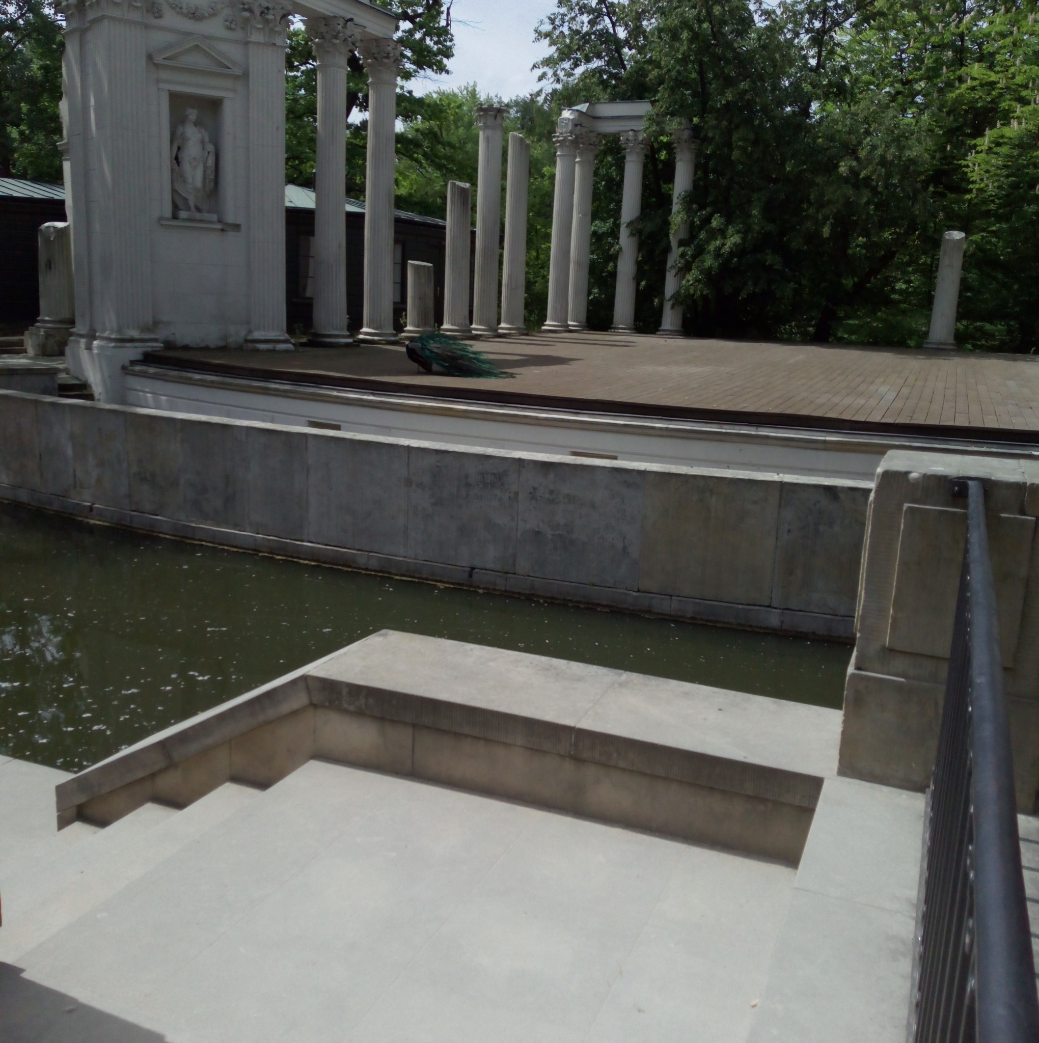 Amfiteatr w Łazienkach Królewskich z kolumnami, widok z dołu schodów, w tle paw.