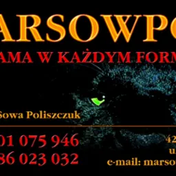 Wizytówka firmy Marsowpol z grafiką czarnej pantery o zielonych oczach, zawierająca dane kontaktowe: imię i nazwisko, numery telefonów oraz adres e-mail