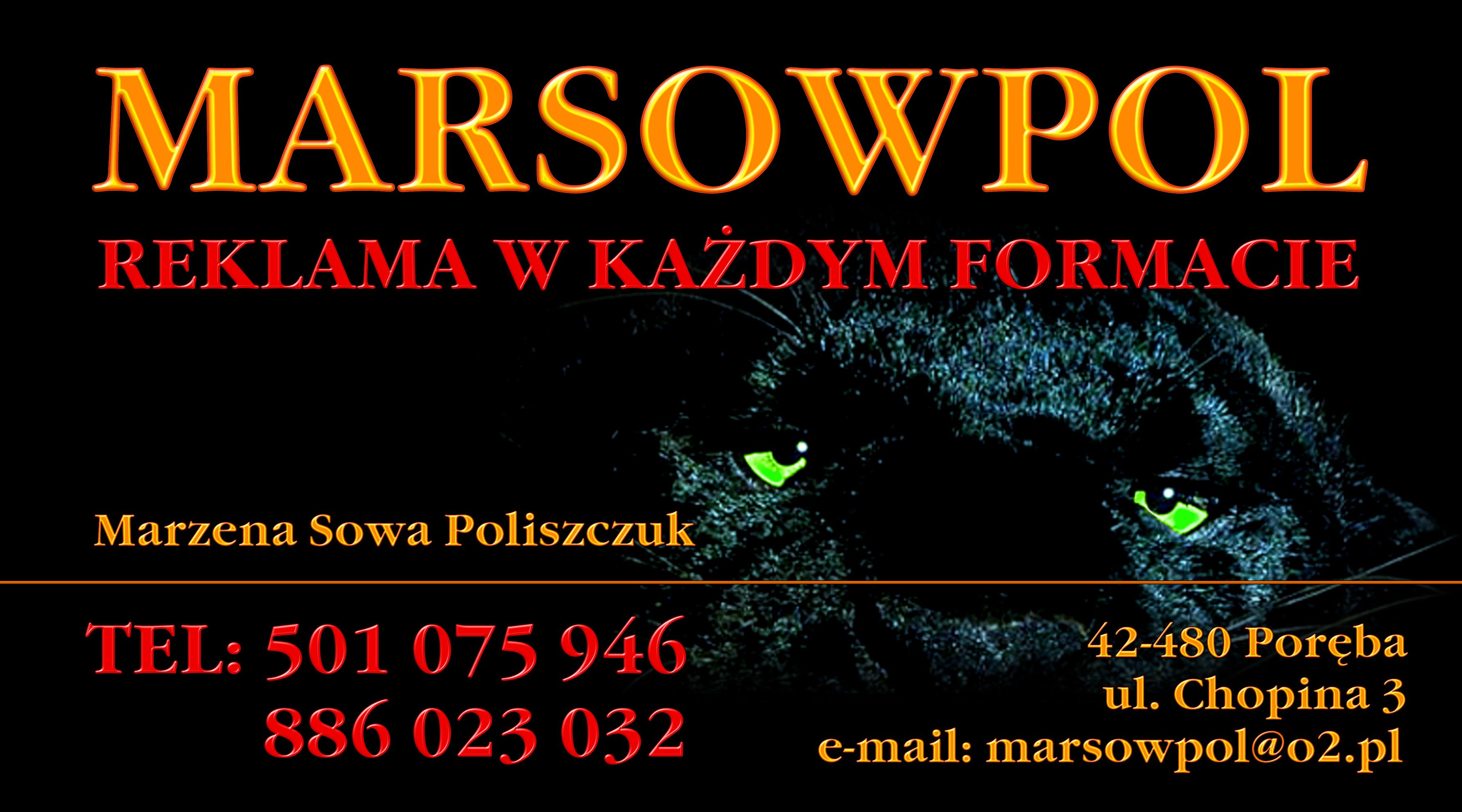 Wizytówka firmy Marsowpol z grafiką czarnej pantery o zielonych oczach, zawierająca dane kontaktowe: imię i nazwisko, numery telefonów oraz adres e-mail