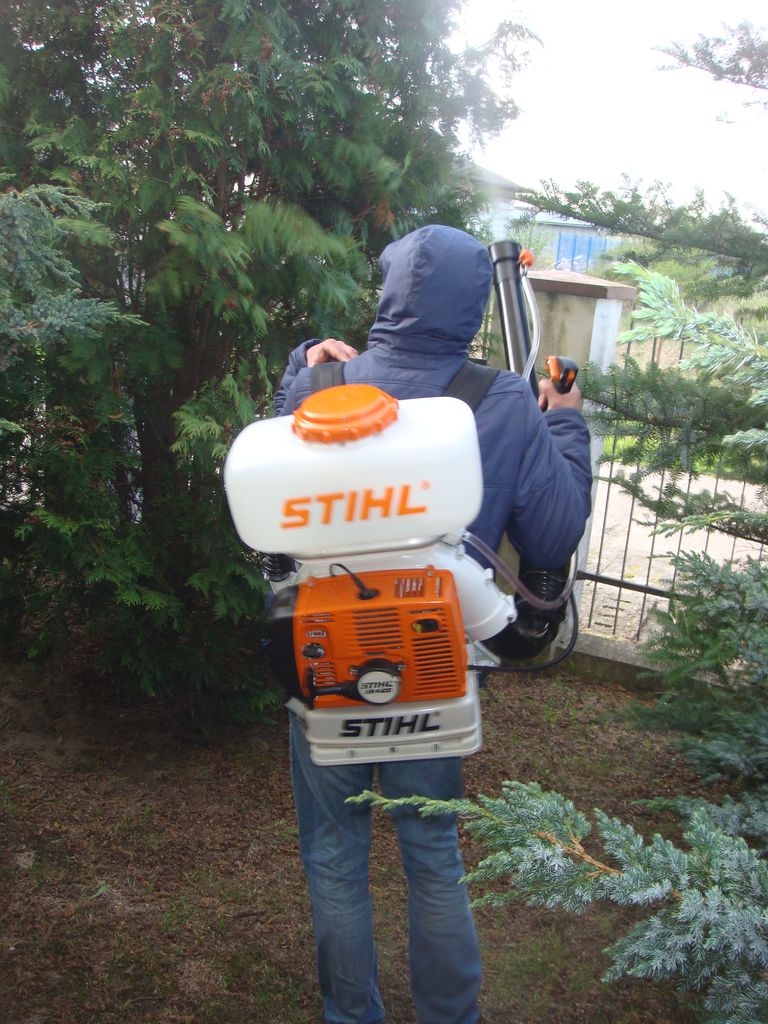 Osoba w niebieskiej kurtce z kapturem, tyłem do kamery, obsługuje opryskiwacz spalinowy Stihl w ogrodzie, prawdopodobnie rozpylając środek ochrony roślin na drzewa iglaste.