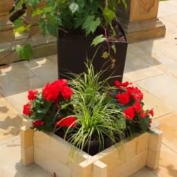 Doniczka oraz posadzka z piaskowca