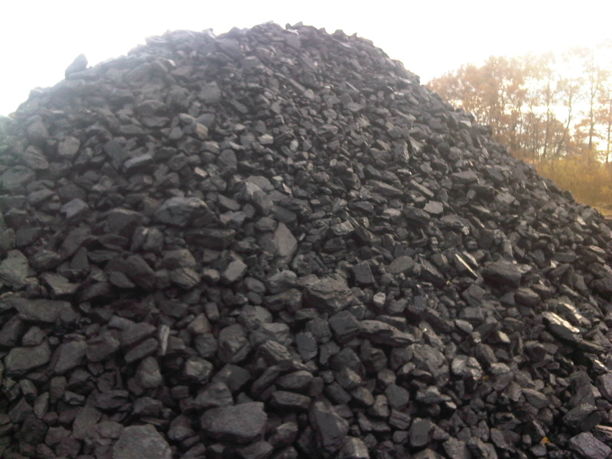 Kopiec czarnego węgla kamiennego na zewnątrz, z drzewami w tle pod pochmurnym niebem.