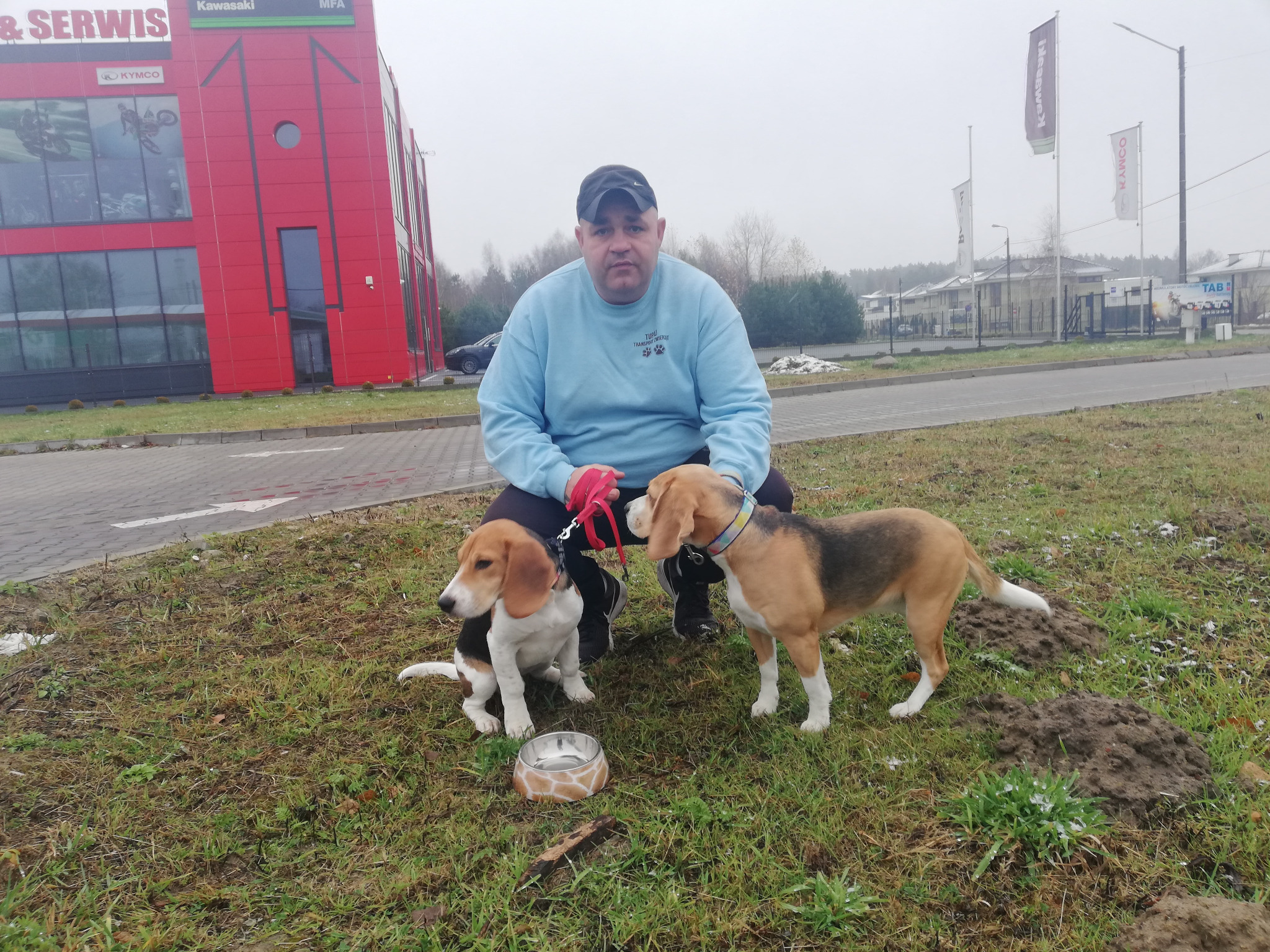 Mężczyzna w niebieskiej bluzie z logo wyprowadza dwa psy rasy beagle na trawniku przed budynkiem salonu motocyklowego, obok stoi miska na wodę.