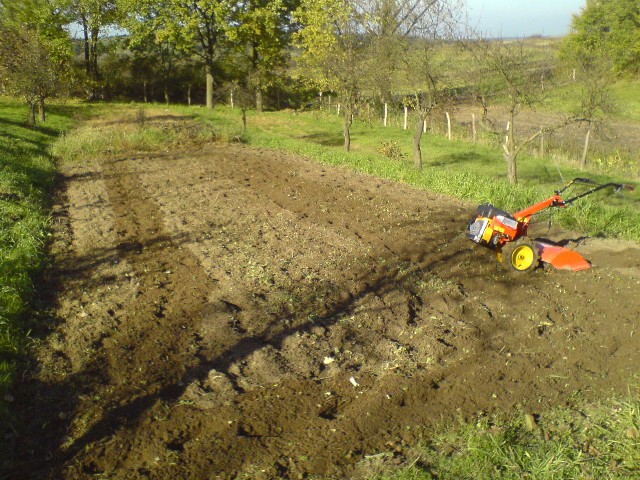Glebogryzarka w trakcie pracy na polu, w tle drzewa i ogrodzenie, widoczne ślady po pracy urządzenia.