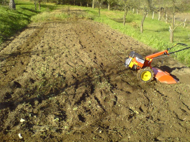 USŁUGI glebogryzarką, glebogryzarki, LUBUSKIE