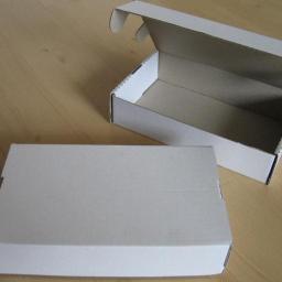Karton pudełko fasonowe 195x115x45 jednostronnie białe