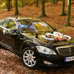 Auto Ślubne, Limuzyna Do Ślubu, Limuzyna Ślubna, Szczecin