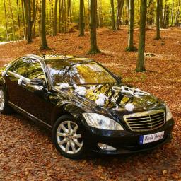 Auto Ślubne, Limuzyna Do Ślubu, Limuzyna Ślubna, Szczecin